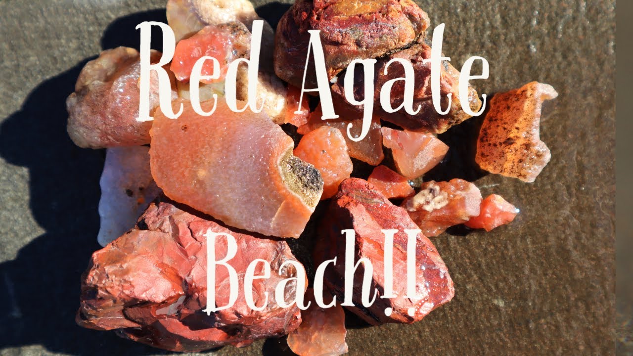 Red Agate Beach!! Rockhounding BC Canada!!