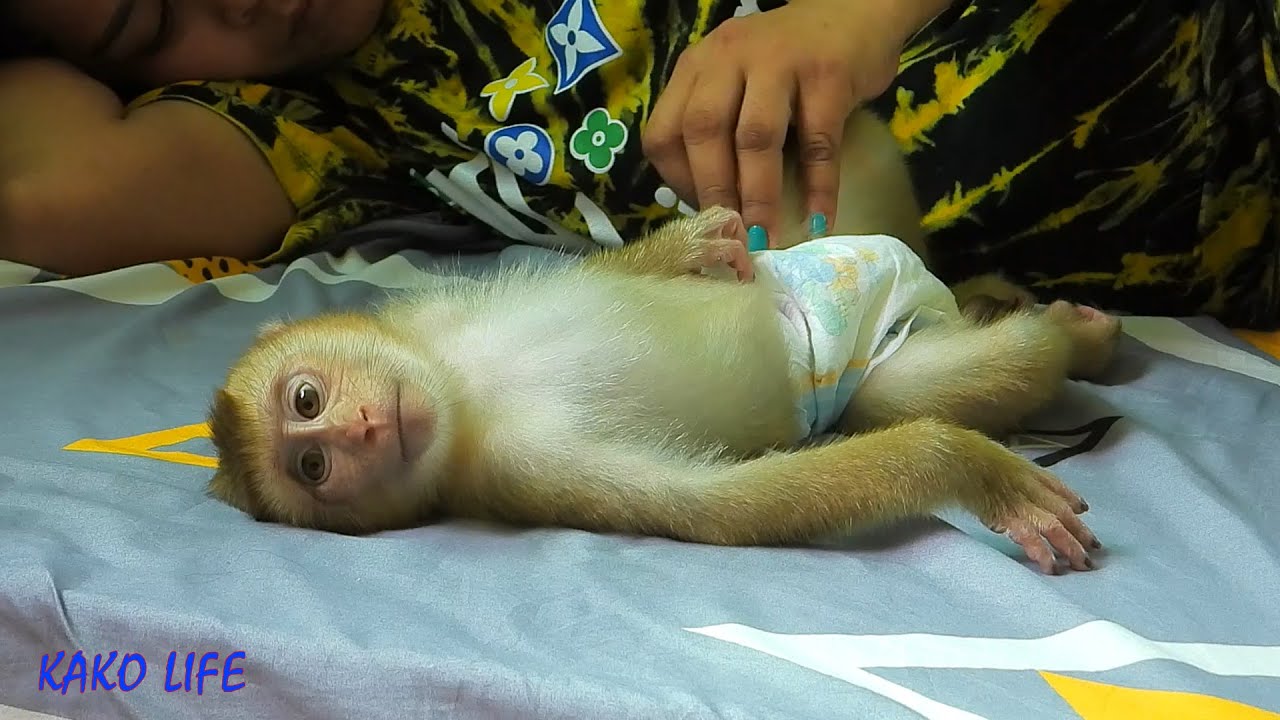 KAKO LIFE | Taking A Nap Time For Mr. Olly Routine
