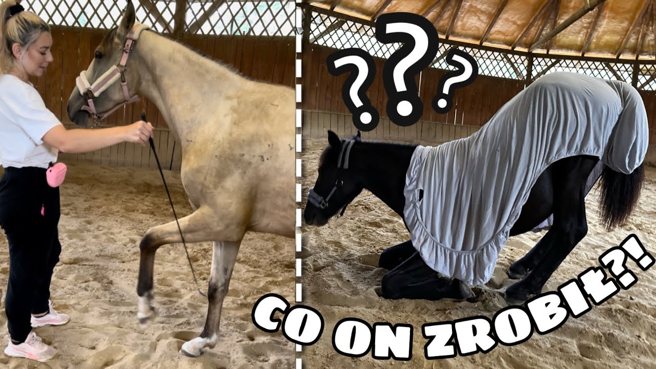 DANTE SIĘ KŁANIA || ODCZULANIE OD PRZEŚCIERADŁA || CO ZROBIĄ Z PIŁKĄ?? | VLOG 35