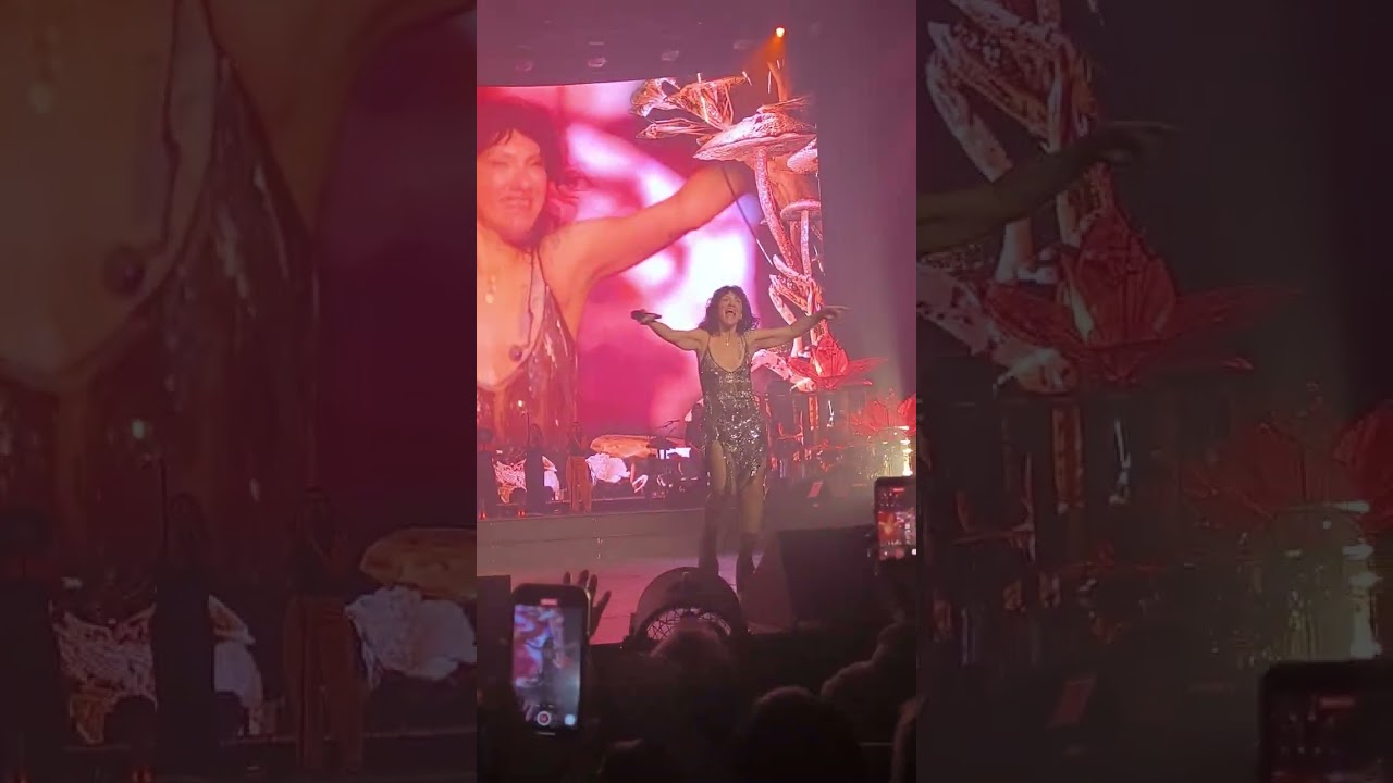 Elisa live Bologna 22 novembre 2025