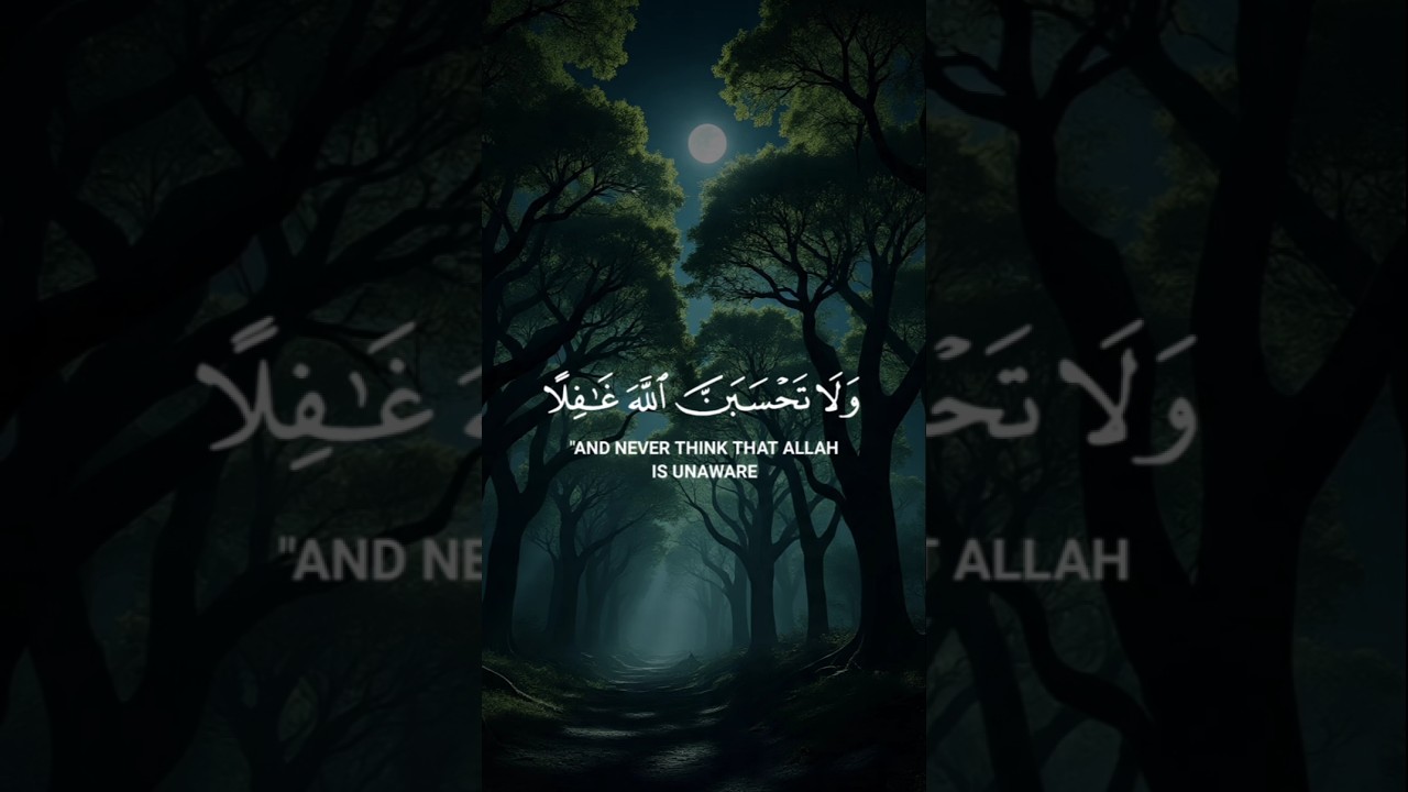 beautiful Quran Recitation shorts 2025#islamicvideo #tilawatequran #verseoftheday #trendingtilawat