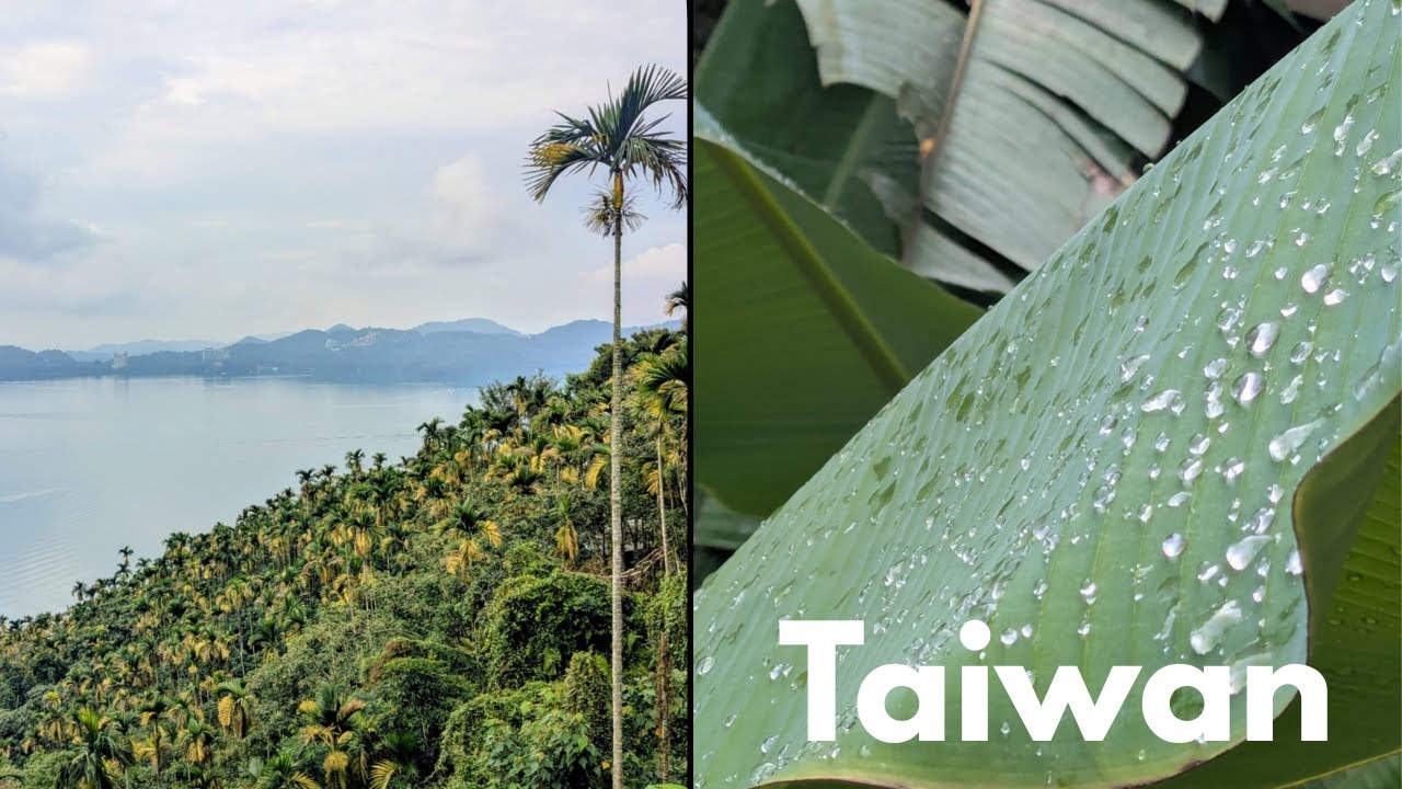 Taiwan