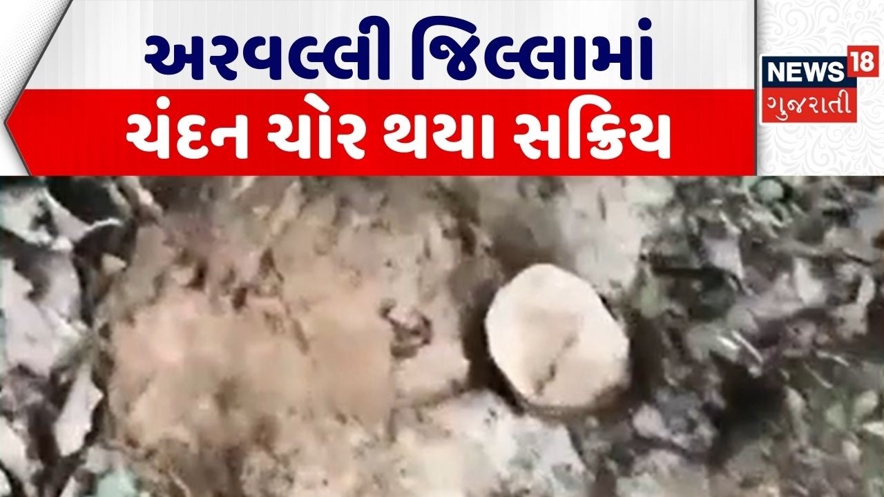 Arvalli Sandalwood Theft | અરવલ્લી જિલ્લામાં ચંદન ચોર થયા સક્રિય | Sandalwood Loot | Gujarati News