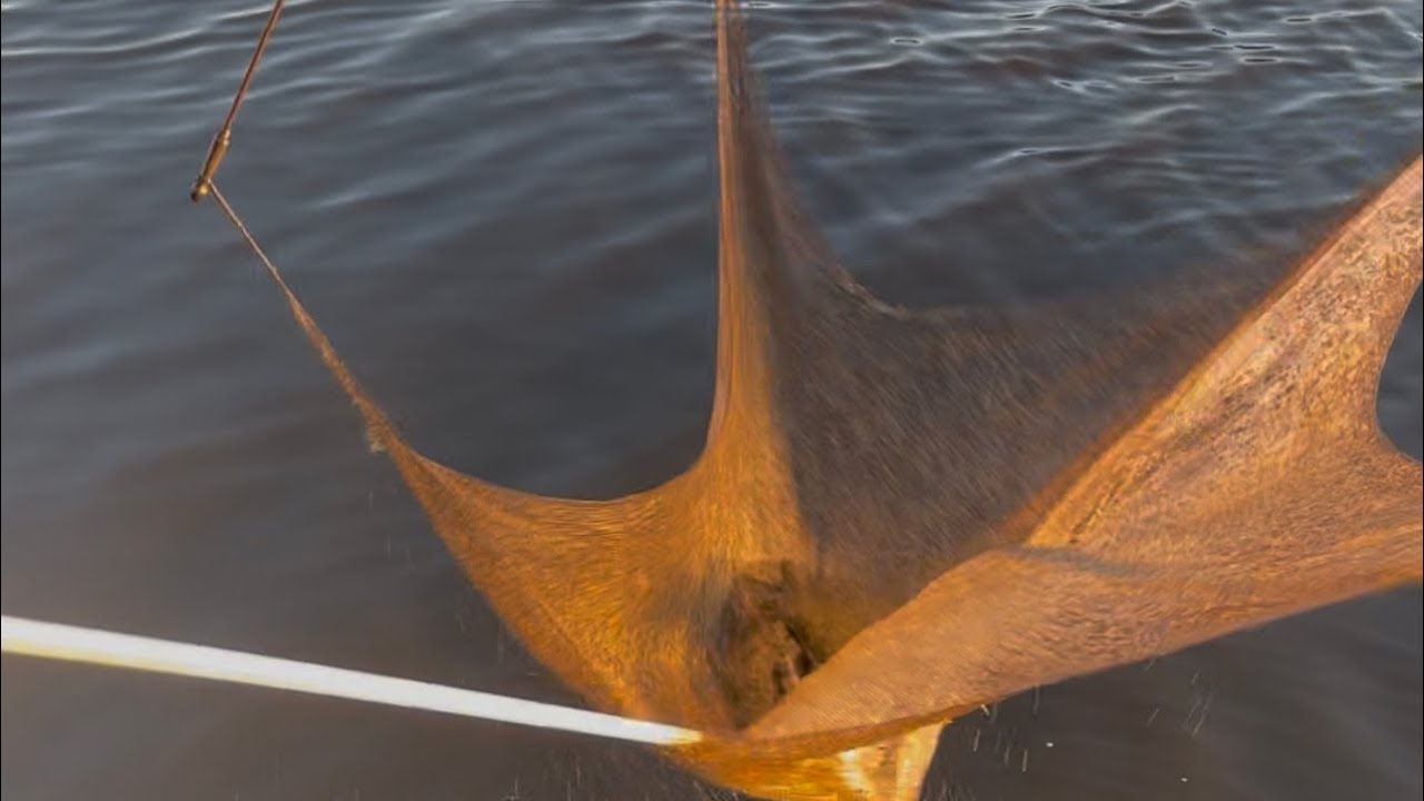 pesca a bilancia con sorpresa finale 