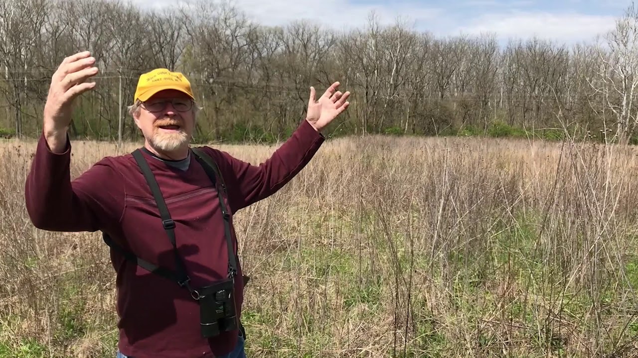 Ohio Prairie Ecosystems