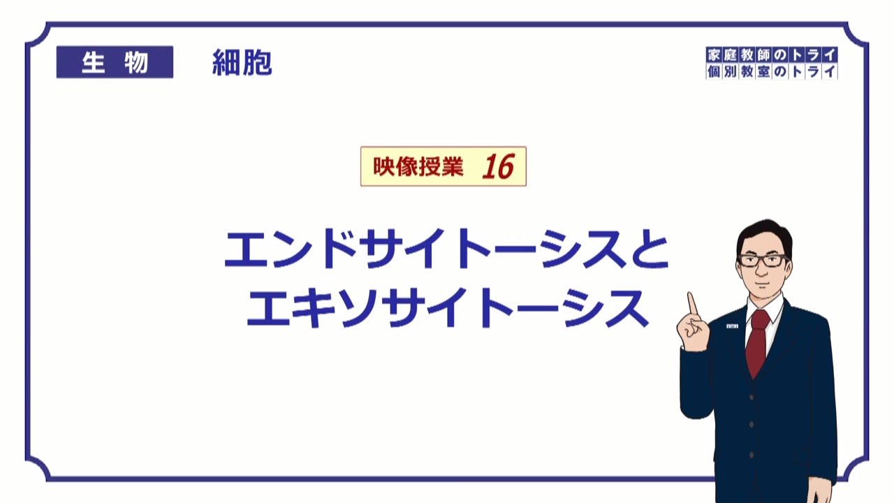 【高校生物】　細胞16　エンドサイトーシスとエキソサイトーシス（１４分）