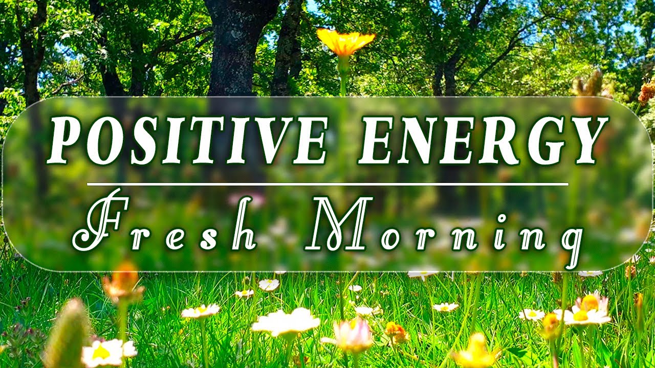 🌿🌞FRESH MORNING 🌻Healing Frequency of Happy Birds Singing in a Forest🌞Morning Vibes for Positive Day
