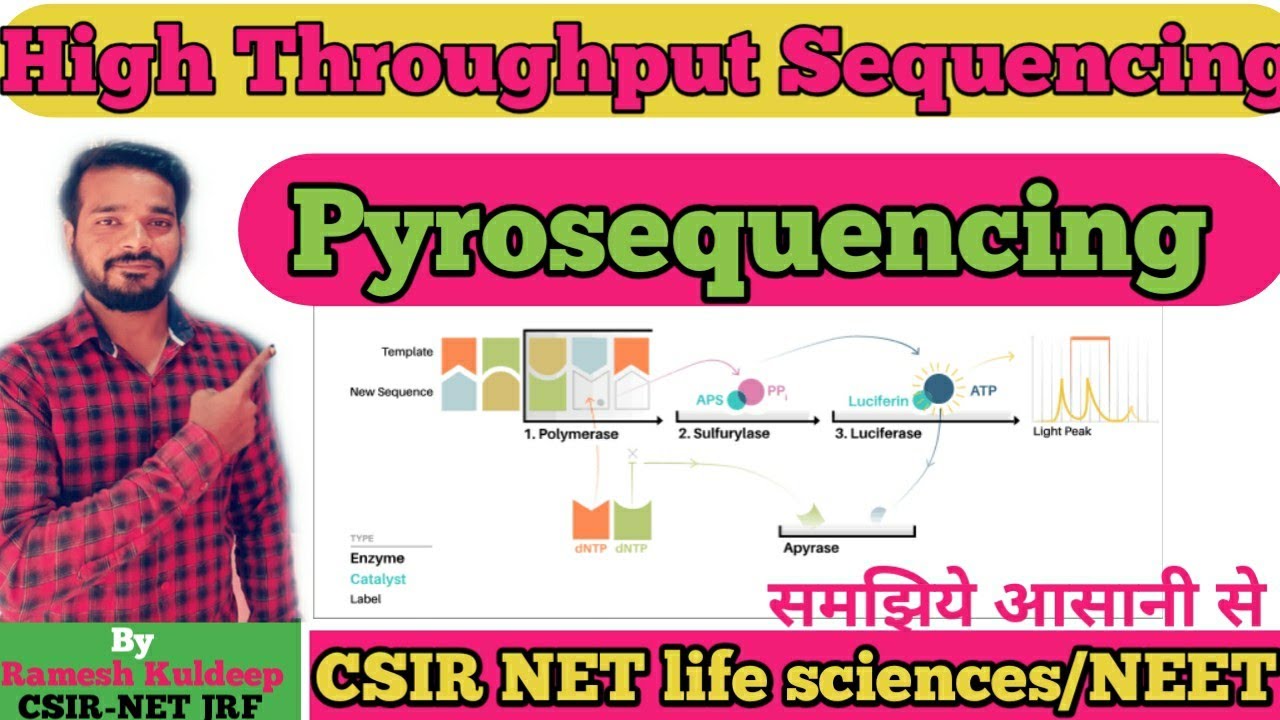 Pyrosequencing | High throughput sequencing  Next generation DNA sequencing Unique Life Sciences