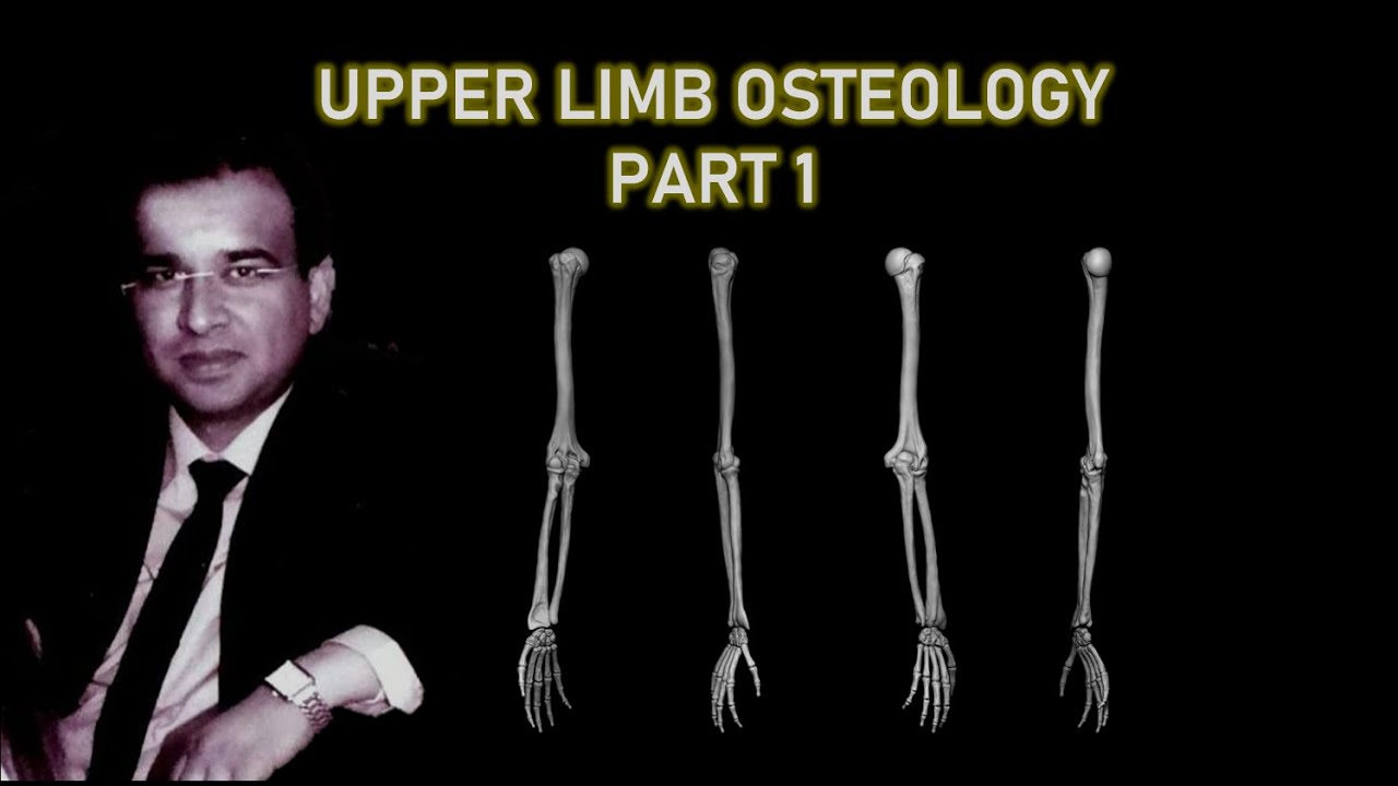 UPPER LIMB OSTEOLOGY 1