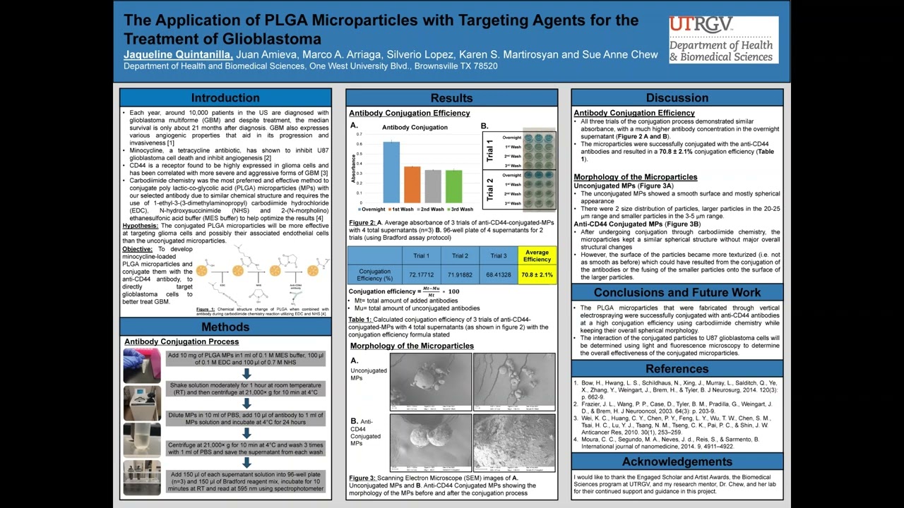 The Application of PLGA Microparticles with Targeting Agents for the Treatment of Glioblastoma