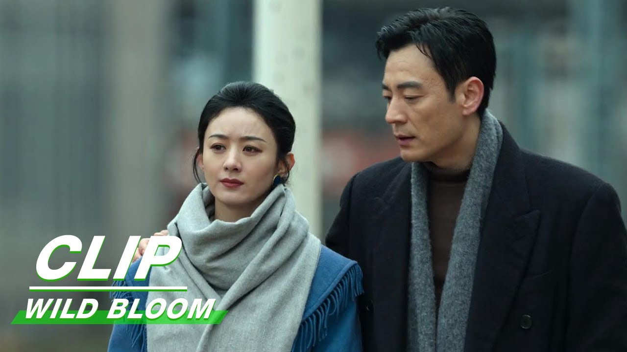 ZhaoLei Comforts Troubled and Hurt Banxia | Wild Bloom EP29 | 风吹半夏 | iQIYI