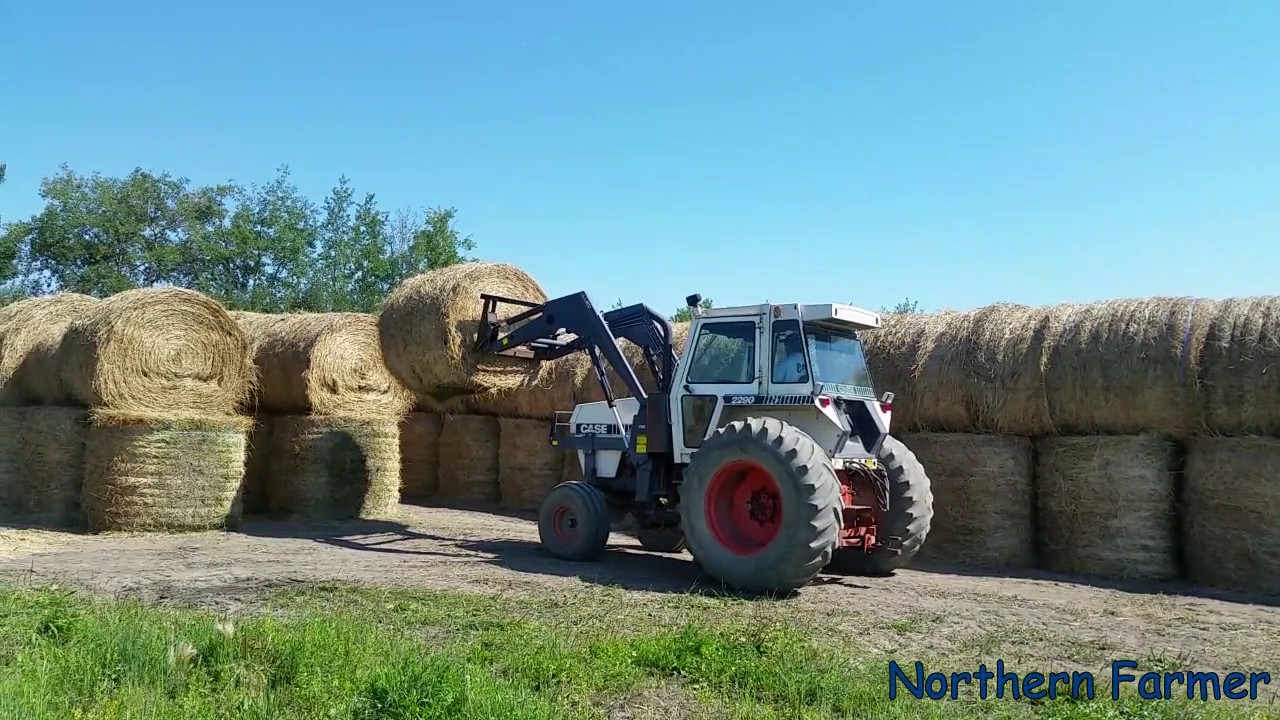 CASE 2290 Unloading Hay!! Old School