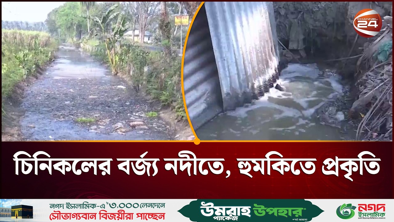 চিনিকলের বর্জ্যে দূষিত হচ্ছে আশেপাশের নদী-নালা-খাল | SugarMill Waste | Faridpur | Channel 24