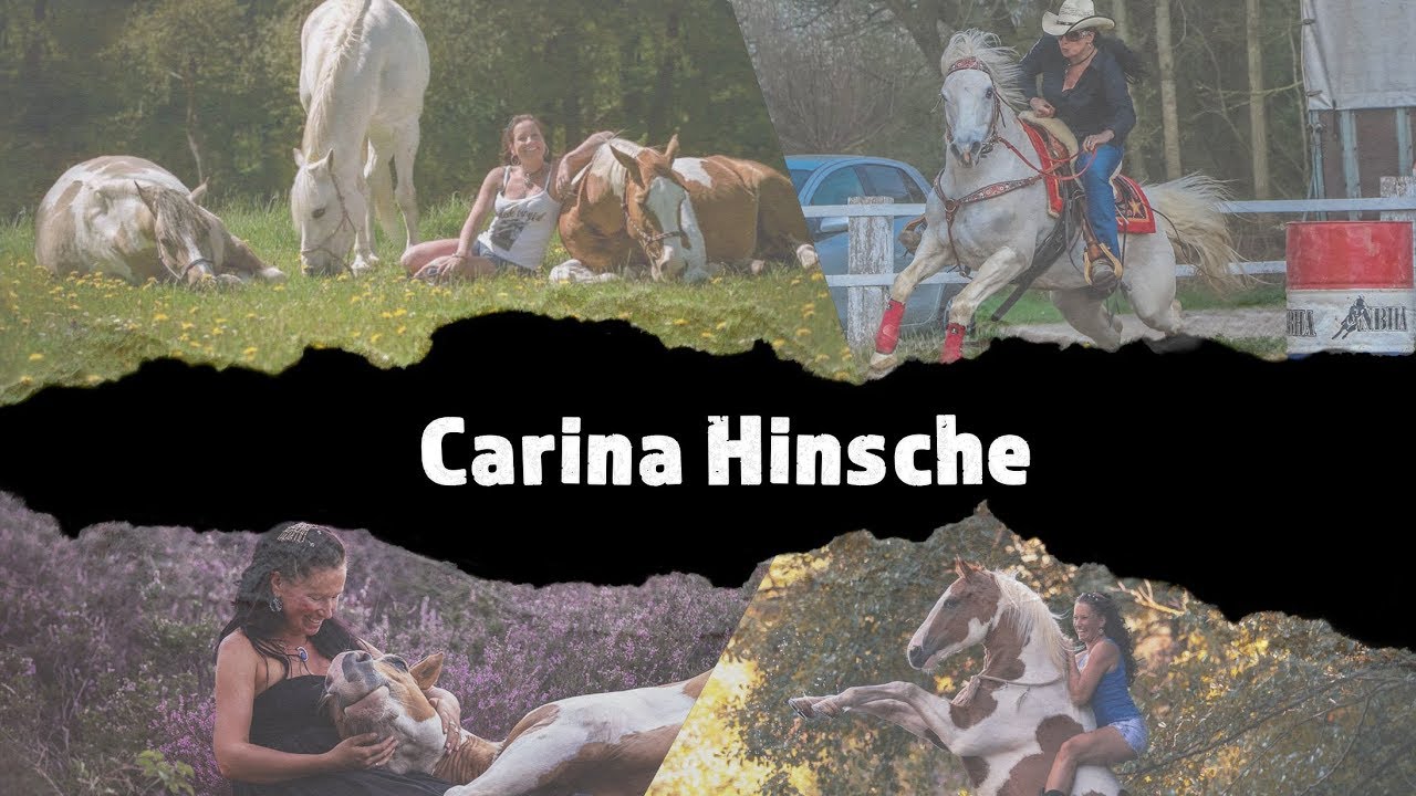 MUSTANG MAKEOVER 2019 - Team Carina (TAG 4532) - Update 5