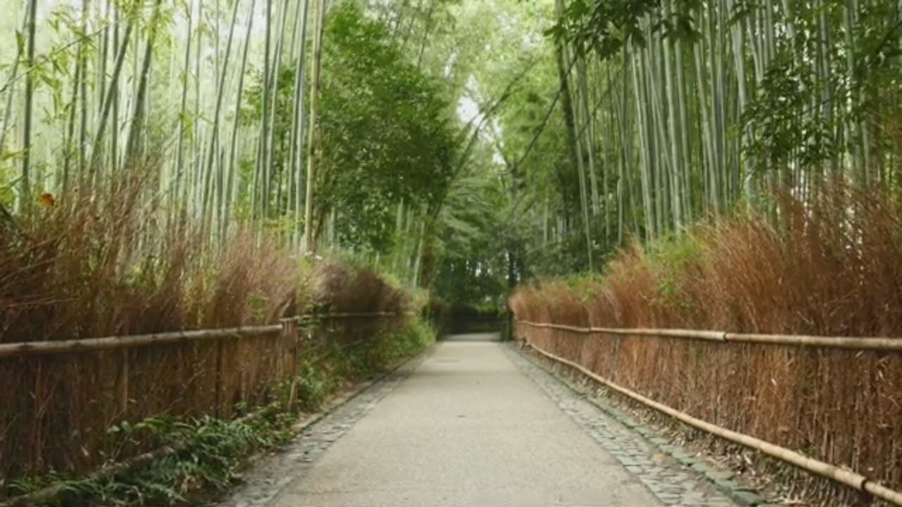 Top 10 Hoshino Resorts in Japan 2024