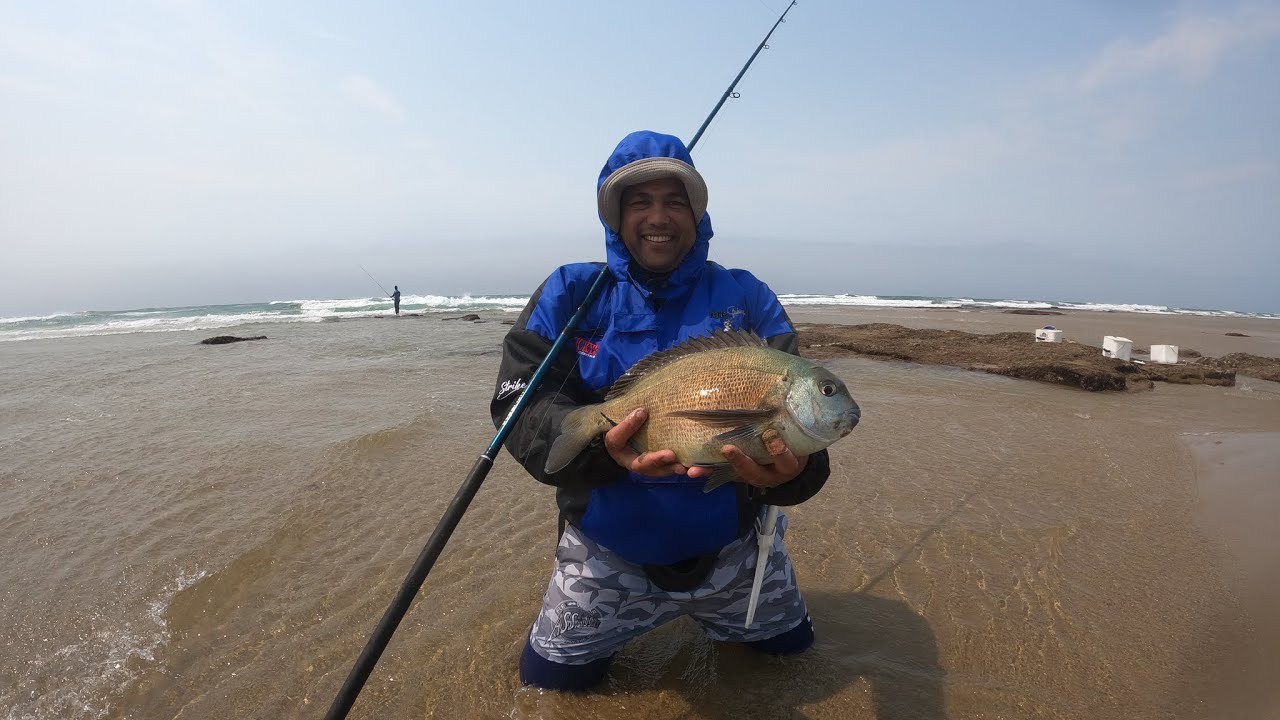 Bronze Bream at our spot
