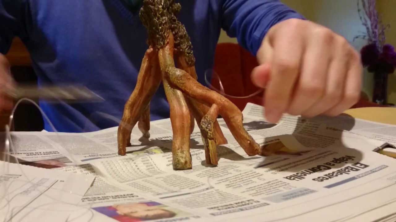&Aacute;rbol con musgo de java para acuarios 1