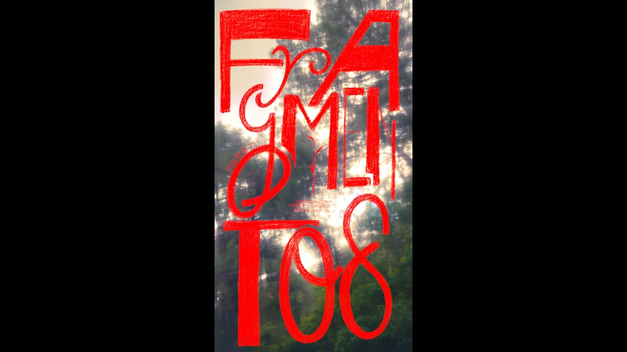 FRAGMENTOS