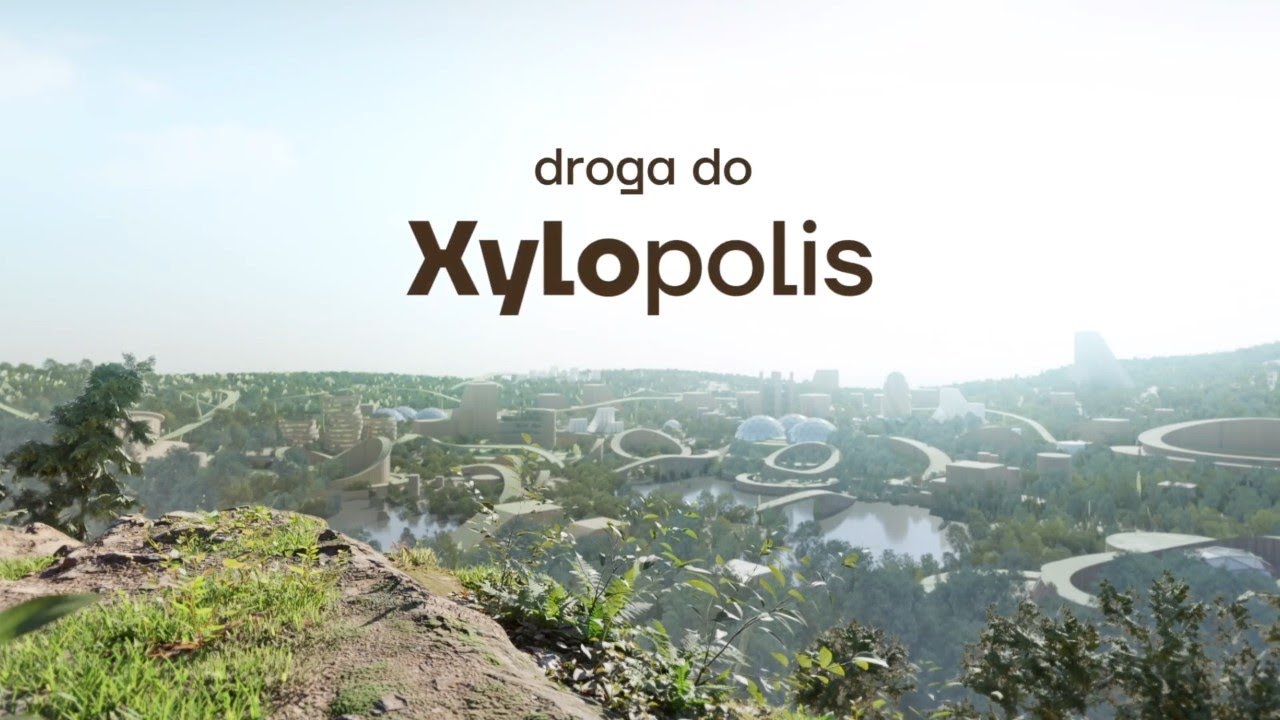Droga do Xylopolis