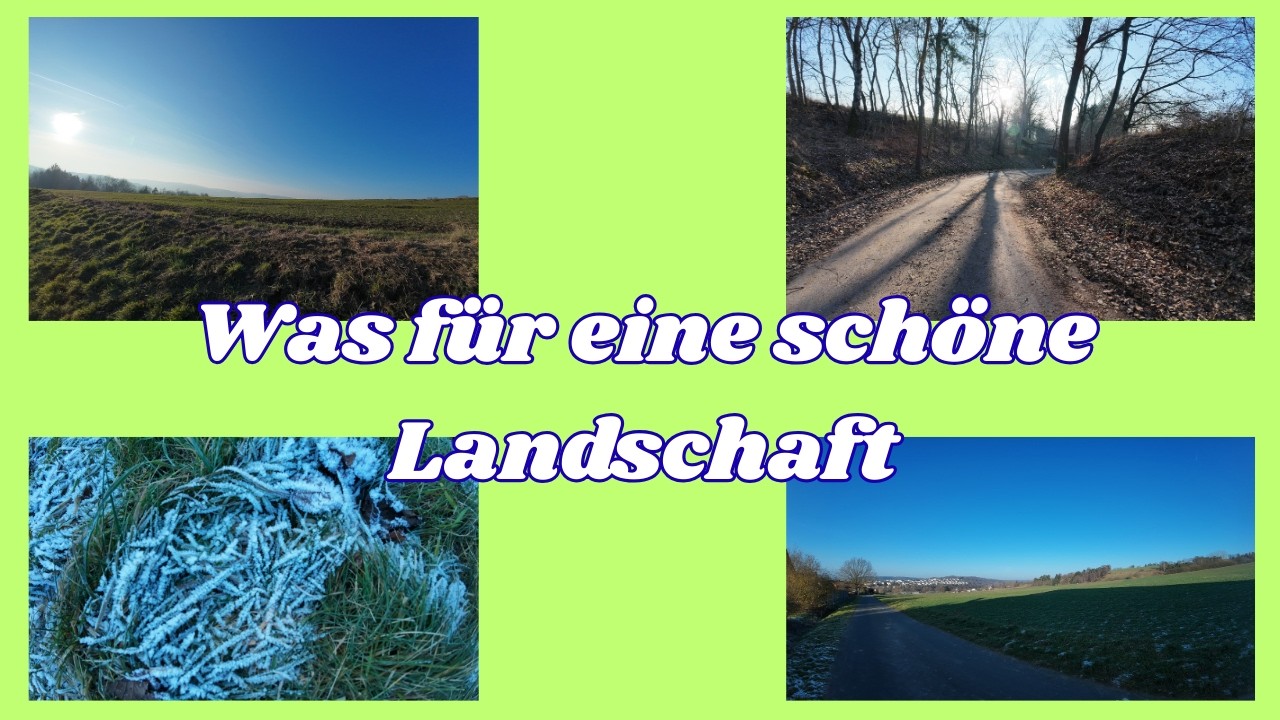 Waldmomente & Sonne – ein Spaziergang für die Seele Vikis grüner Balkon