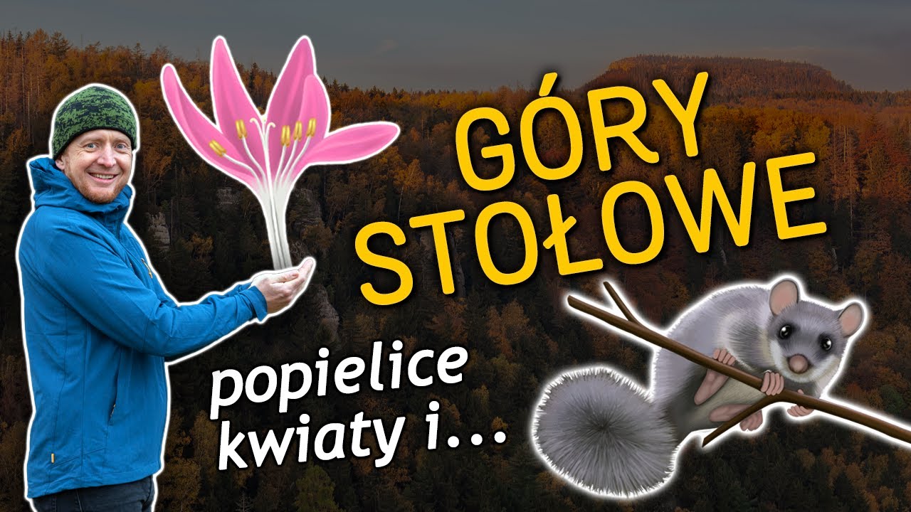 Park Narodowy Gór Stołowych - popielice, świerki bez głowy, plantacje i ciekawe rośliny! 🌲odc.64
