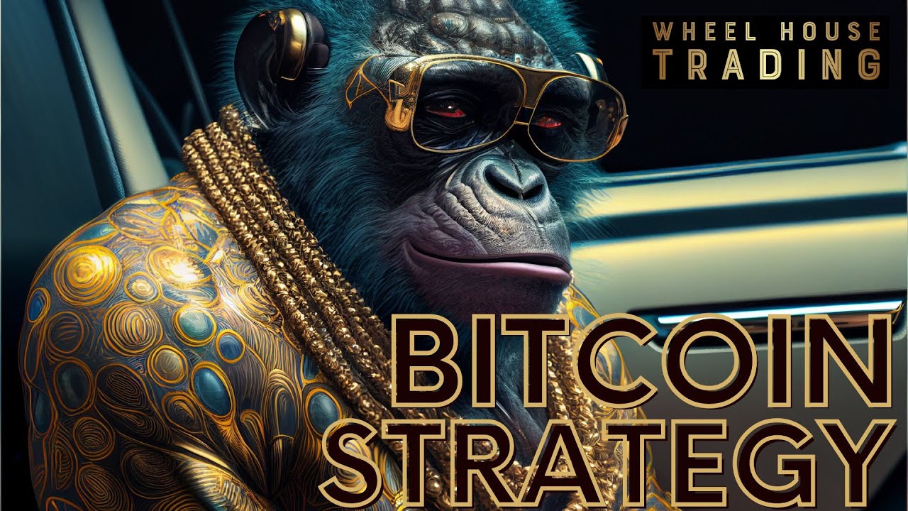 #1 Bitcoin Compound Trading Strategy - From 5 Bitcoin to 75 (in 2.5 years)