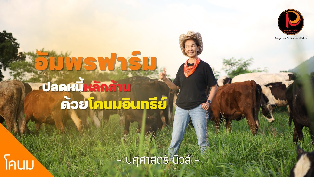 อัมพรฟาร์ม สระบุรี ปลดหนี้หลักล้านด้วยโคนมอินทรีย์ (Organic Dairy Farm) | ปศุศาสตร์ นิวส์