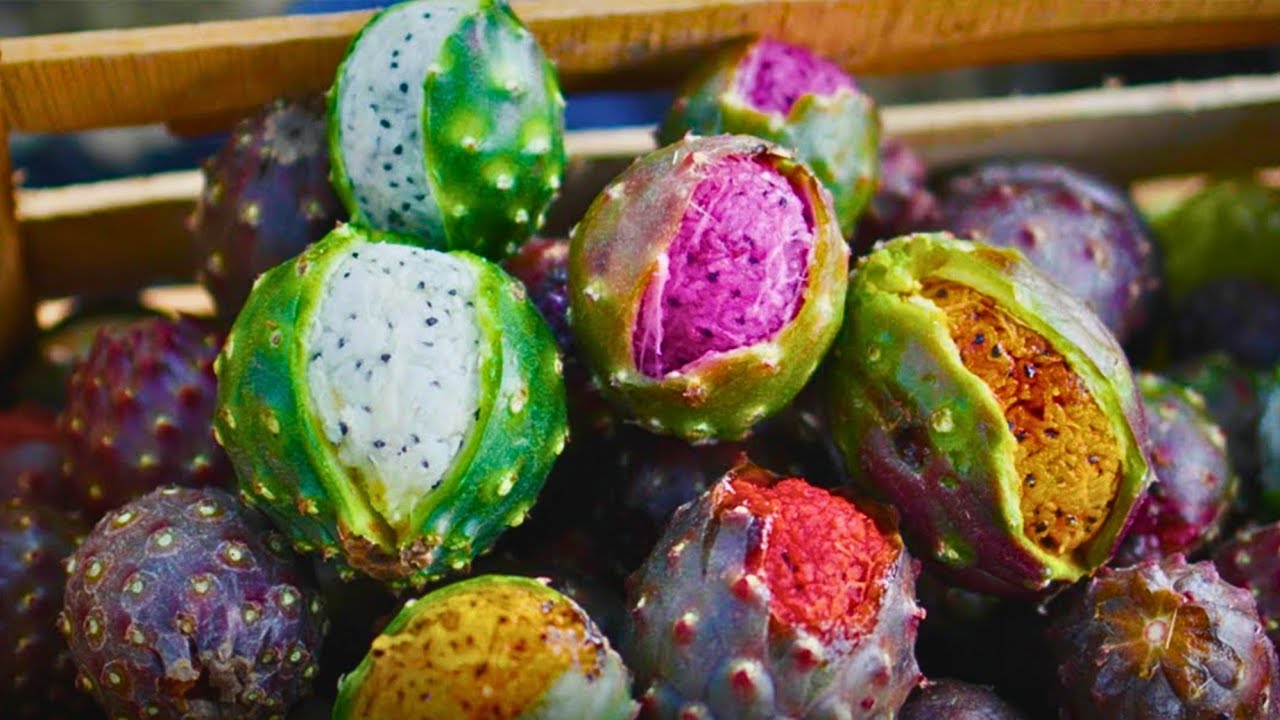 ¡20 FRUTAS EXÓTICAS QUE NO CREERÁS QUE EXISTEN! PT. 2