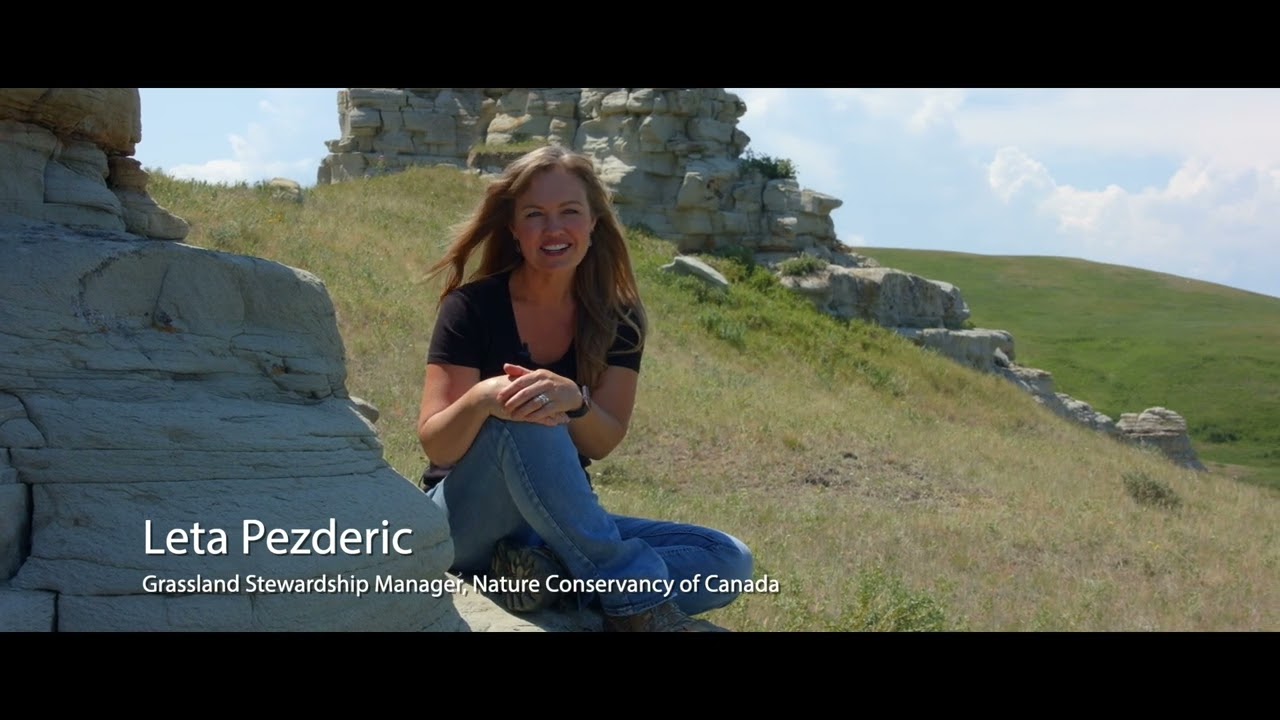 Conserving the Land: The Power of Conservation Easements