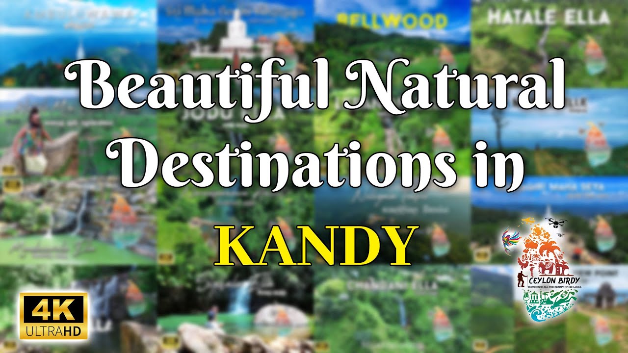 Beautiful Natural Destinations in KANDY | Ceylon Birdy | 4K
