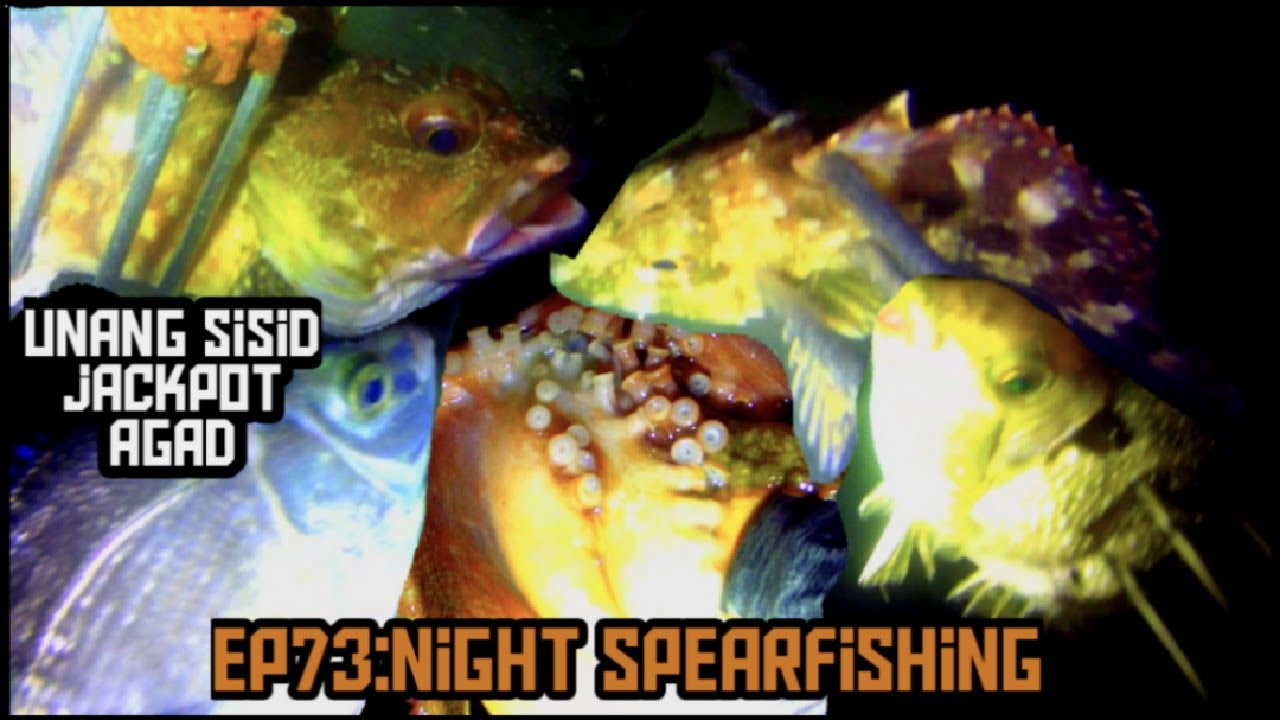 Ep73: KAHIT NAGTATAGONG ISDA KITANG KITA || NIGHT SPEARFISHING JAPAN || LAVARKADS