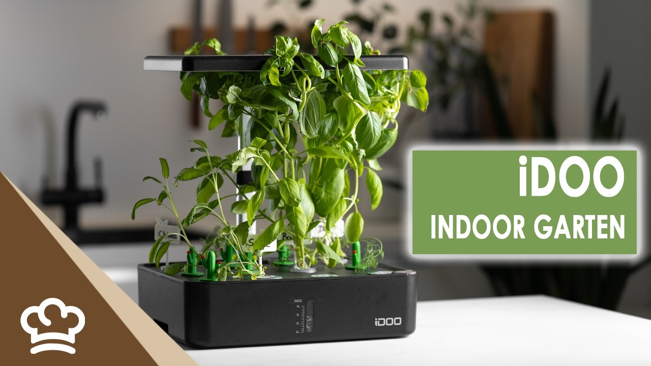 iDOO Smart Garden im Test 🌿 | Indoor Garten mit App & LED