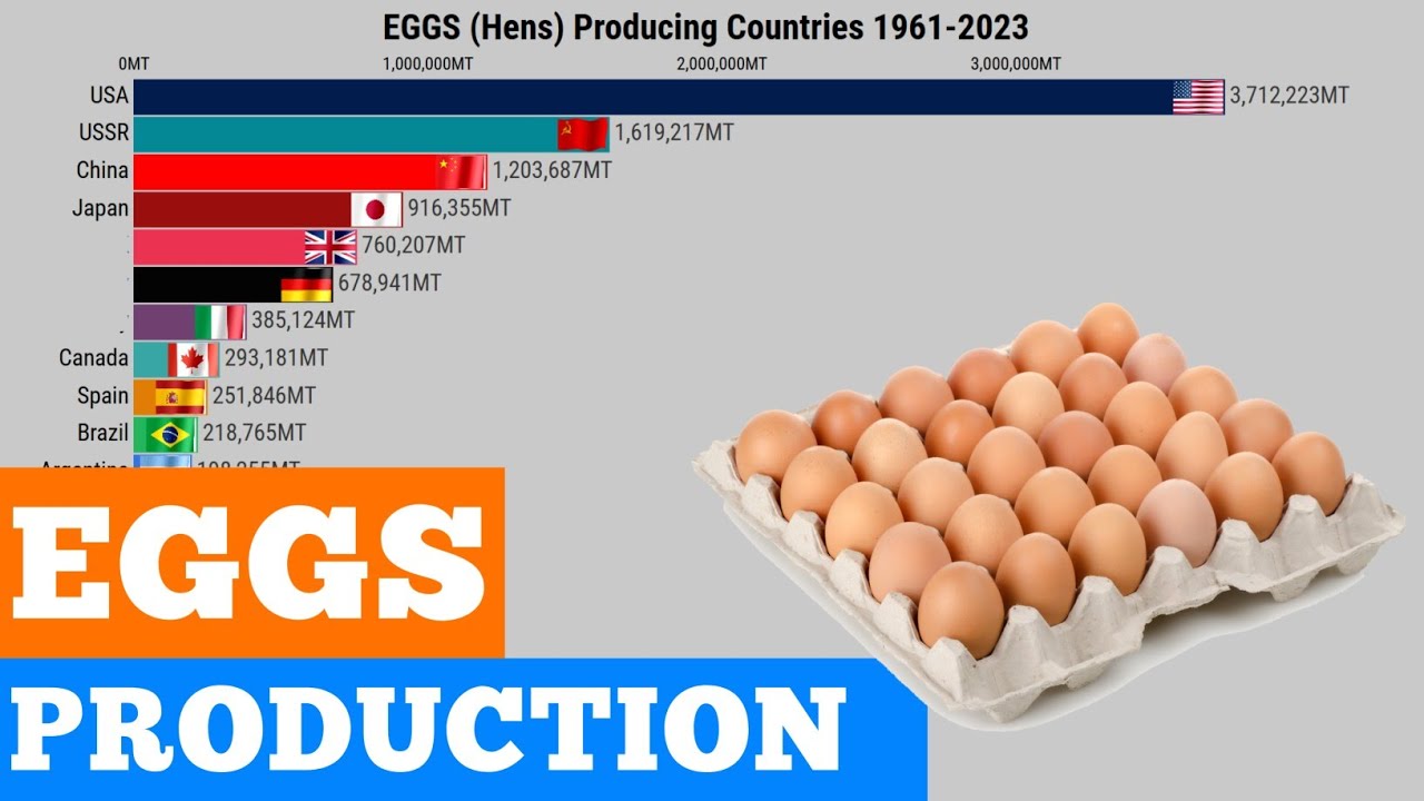 Top Eggs (Hens) Production In The World | Eggs Production 1961-2023 Comparison