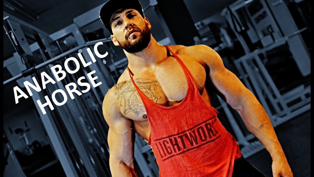 Anabolic Horse - Strength Wars prep #2