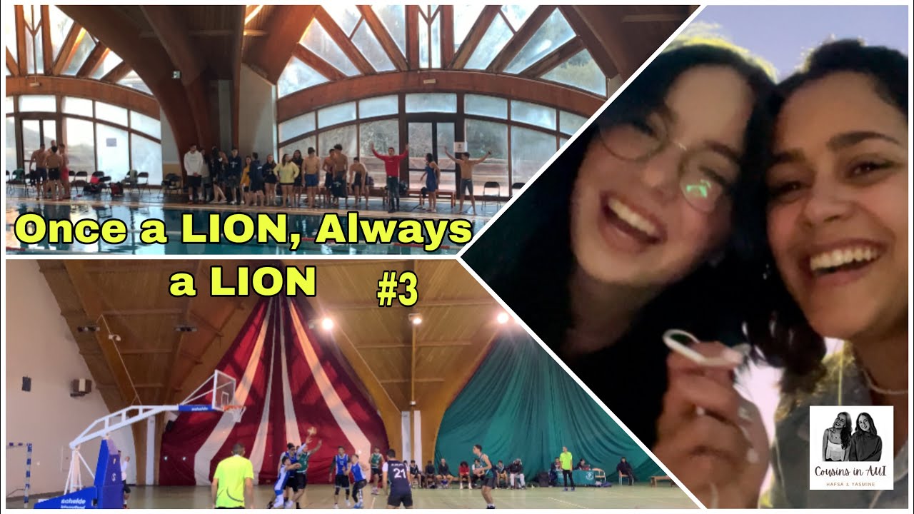 Once a LION, always a LION: sports week in AUI ! 🦁