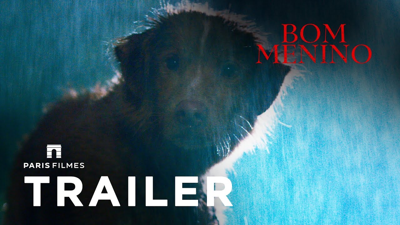 Bom Menino | Trailer 2 Oficial