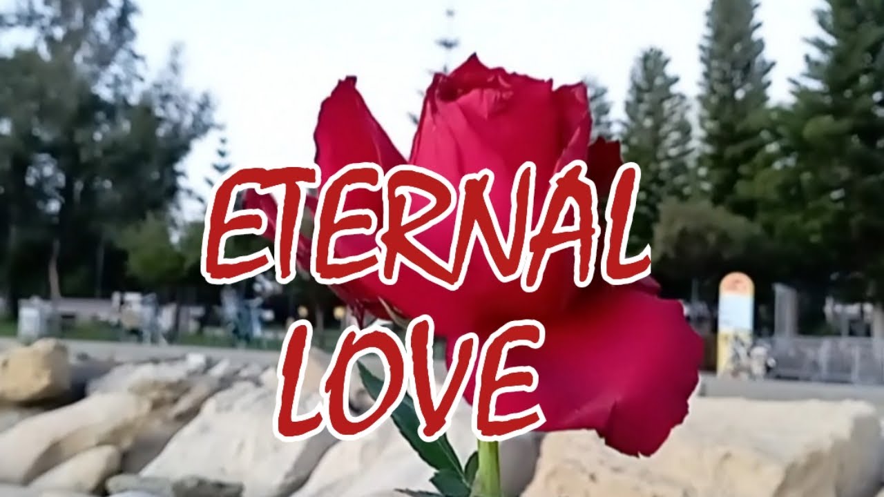 ETERNAL LOVE | MuseSiCKen 