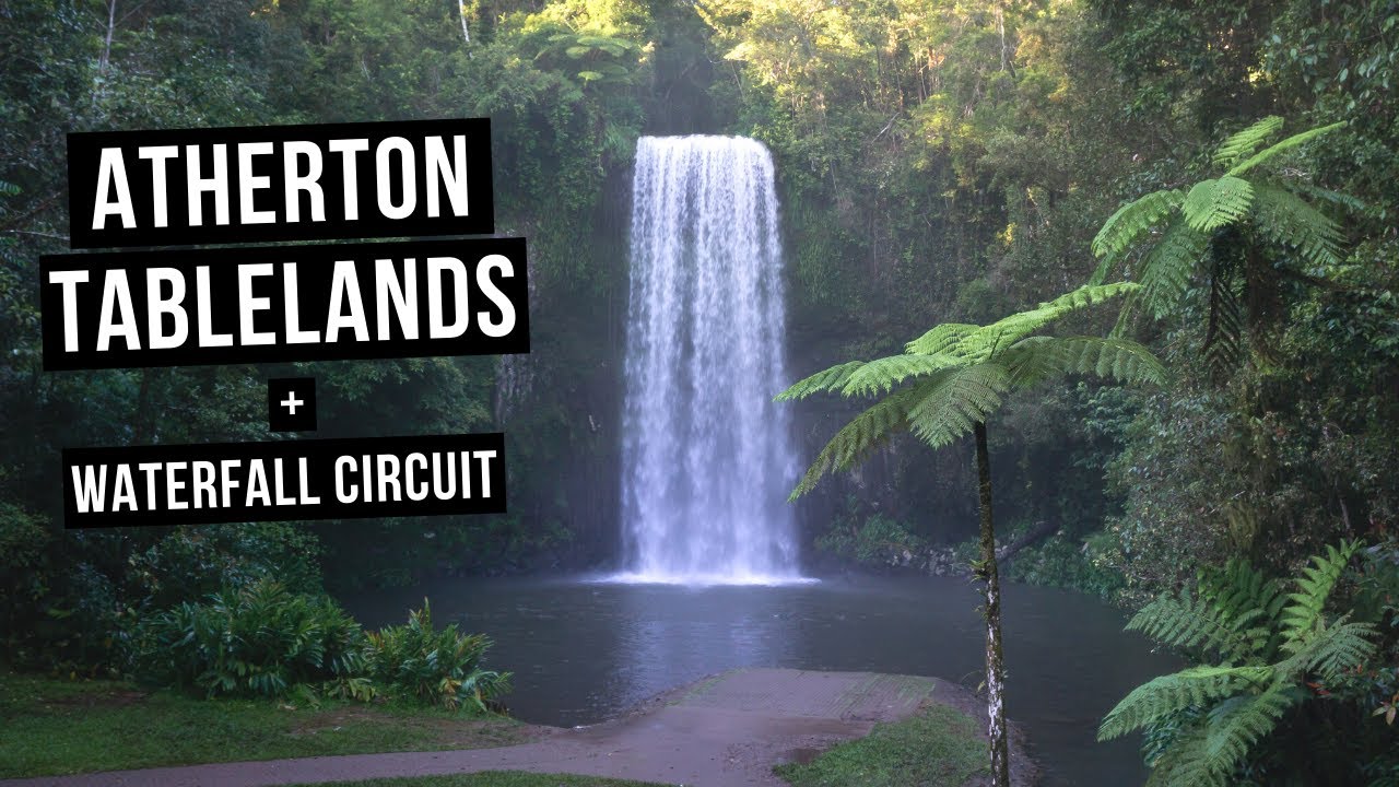 The Atherton Tablelands Waterfall Circuit // Australia travel guide to Millaa Millaa Falls + Cairns