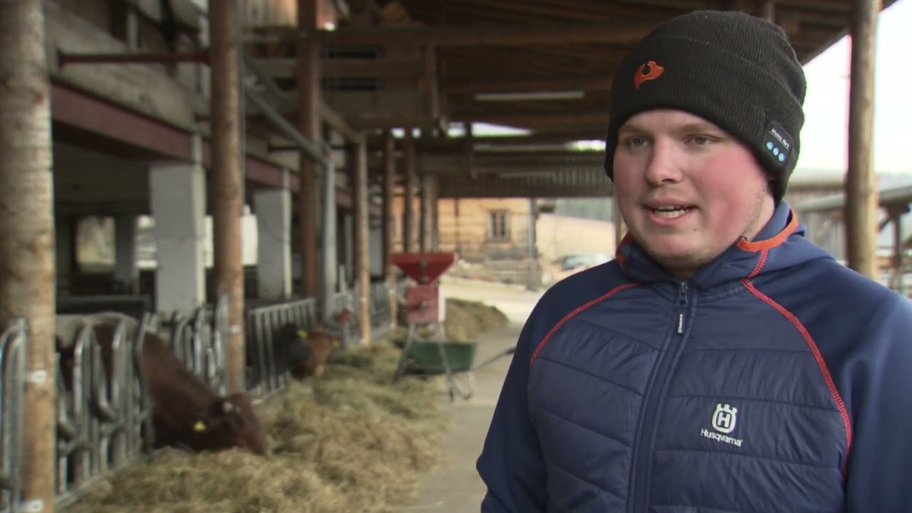Steirische Landwirtschaft: Kalbfleisch