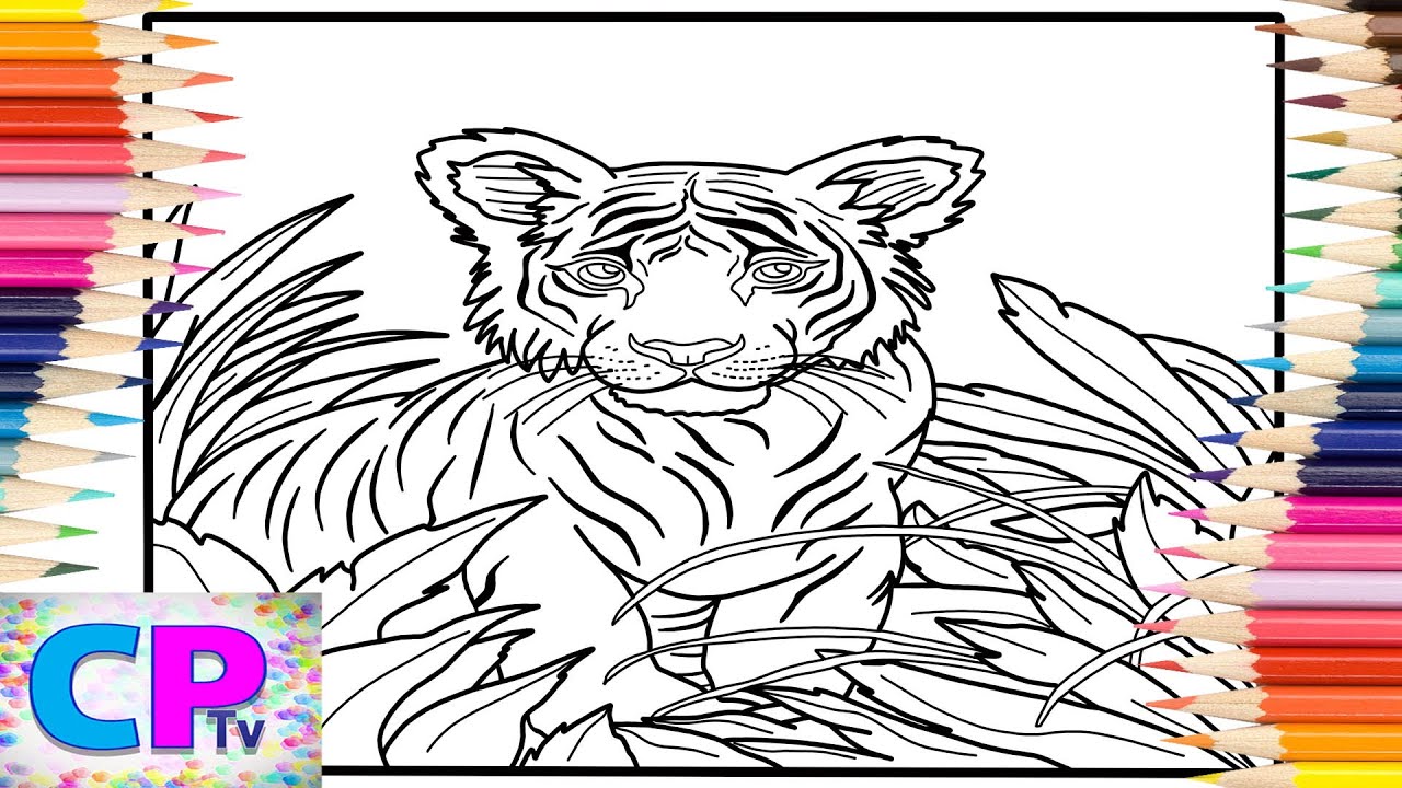 Tiger Hidden in the Bushes/Young Tiger Coloring Pages/Wild Animals/Jim Yosef - Lights [NCS Release]