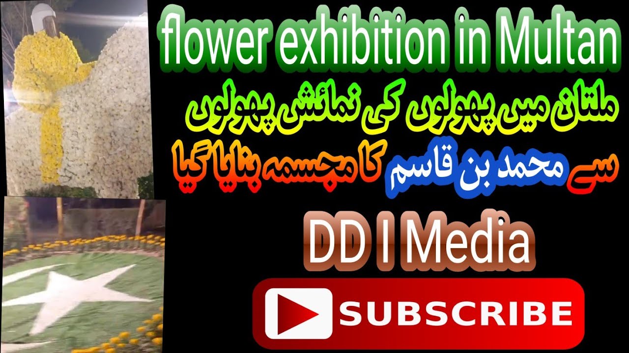 Multan Flower Exhibition 2026 | Rang Birangay Phoolon Ka Khubsurat Festival | Muhammad Bin Qasim