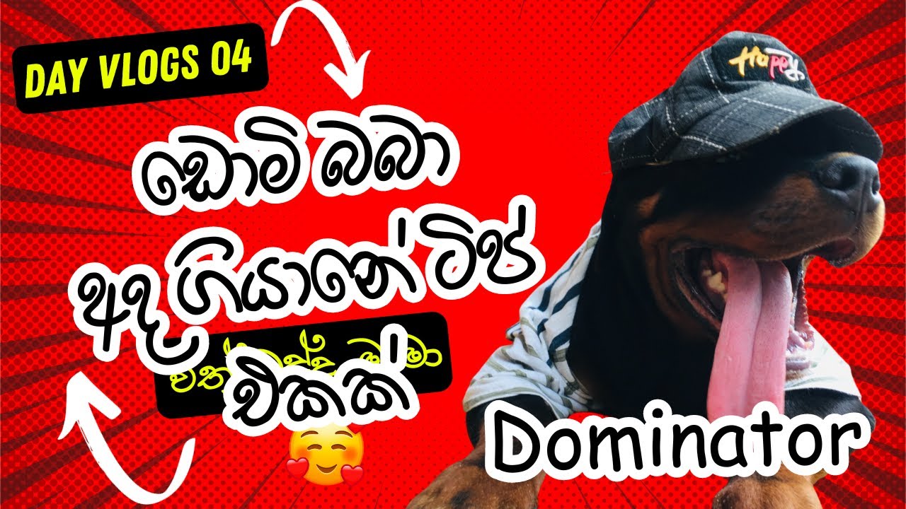ඩොමි බබා අද ටිප් එකක් ගියානේ   | Dominator🐾💗  @domi_boy