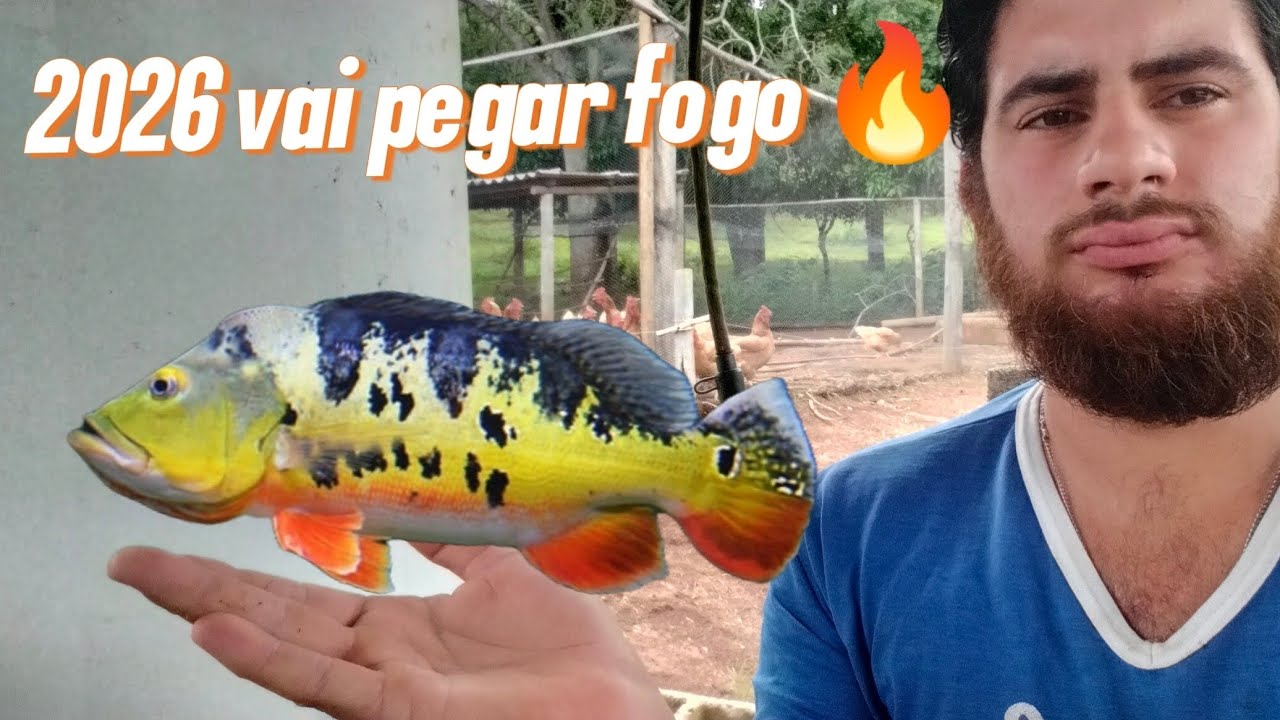 Minha tralha de pesca para pescar tucunaré em 2026 
