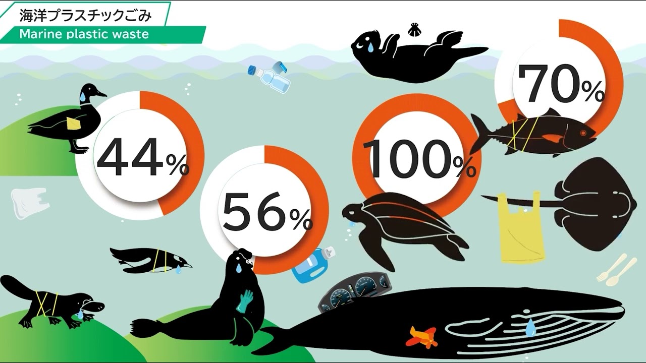 Global environmental problems and the Anthropocene