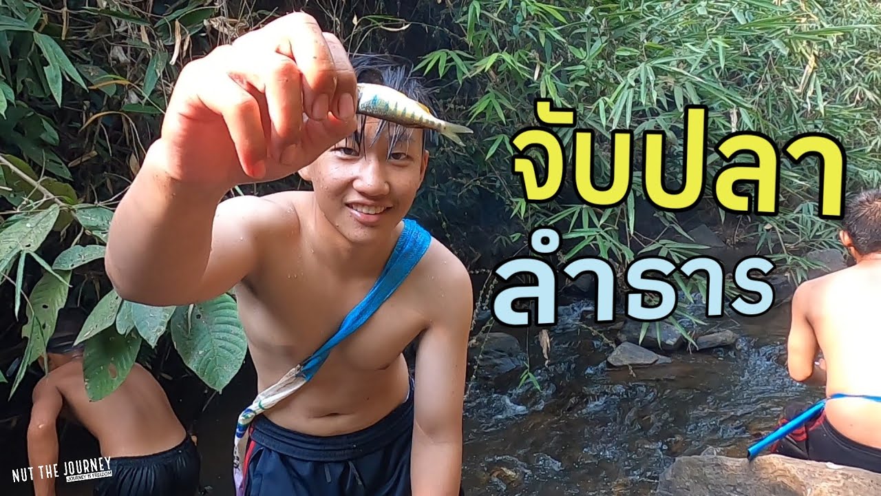ใช้ชีวิต 1 วันที่ลำธารท้ายหมู่บ้าน จับปลามาทำกับข้าวฉบับบ้านๆ