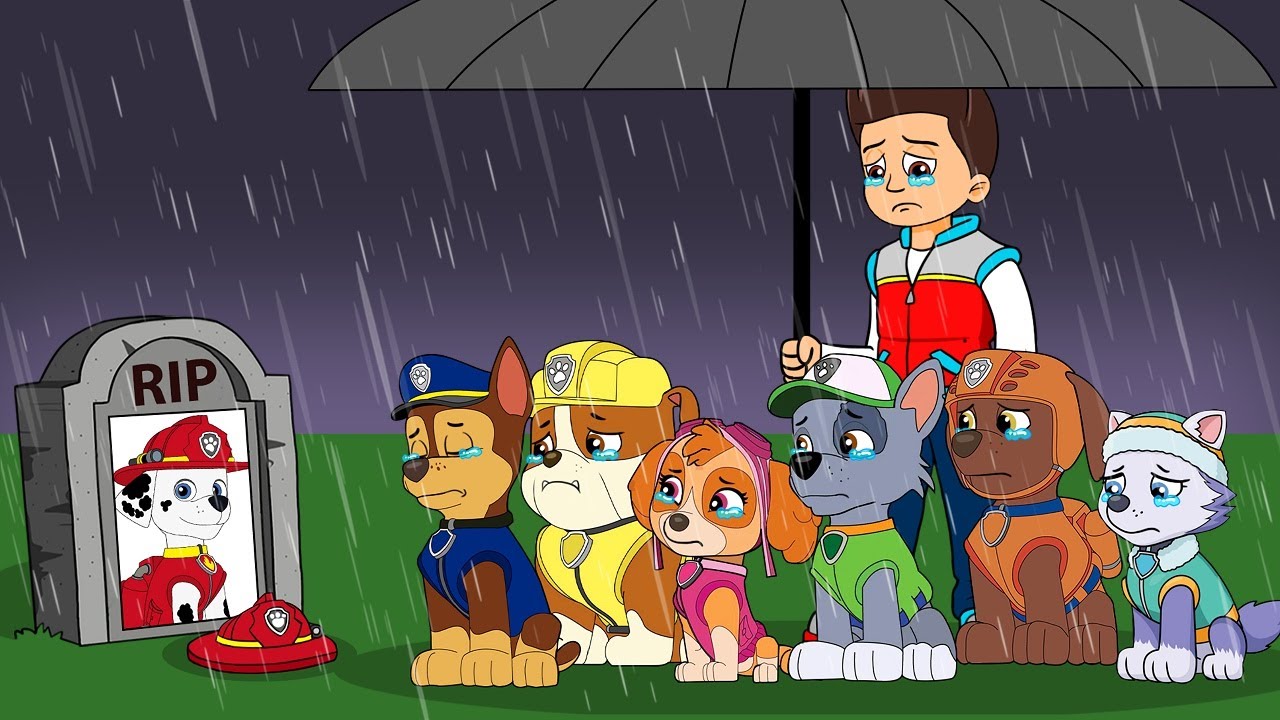 Paw Patrol Ultimate Rescue | No Way...! Please Wake Up Marshall ? | Rainbow 3