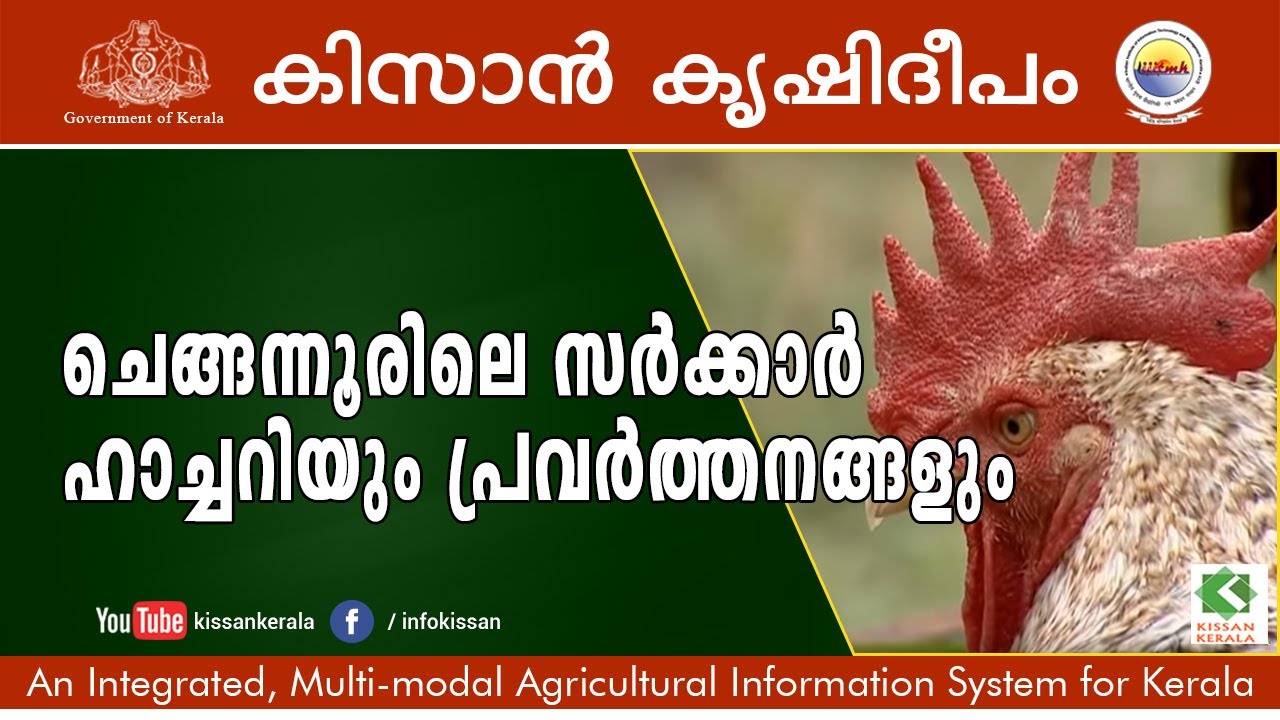 Activities of Central Hatchery Chengannur - Alappuzha