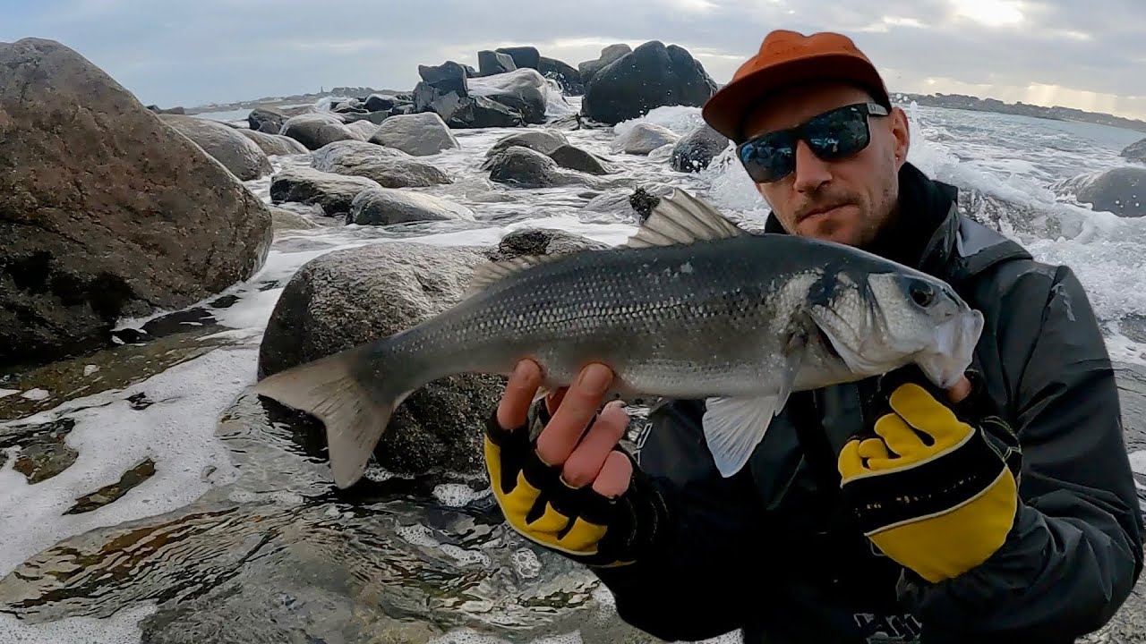 LURE FISHING FOR BASS IN WINTER | PATCHINKO 140