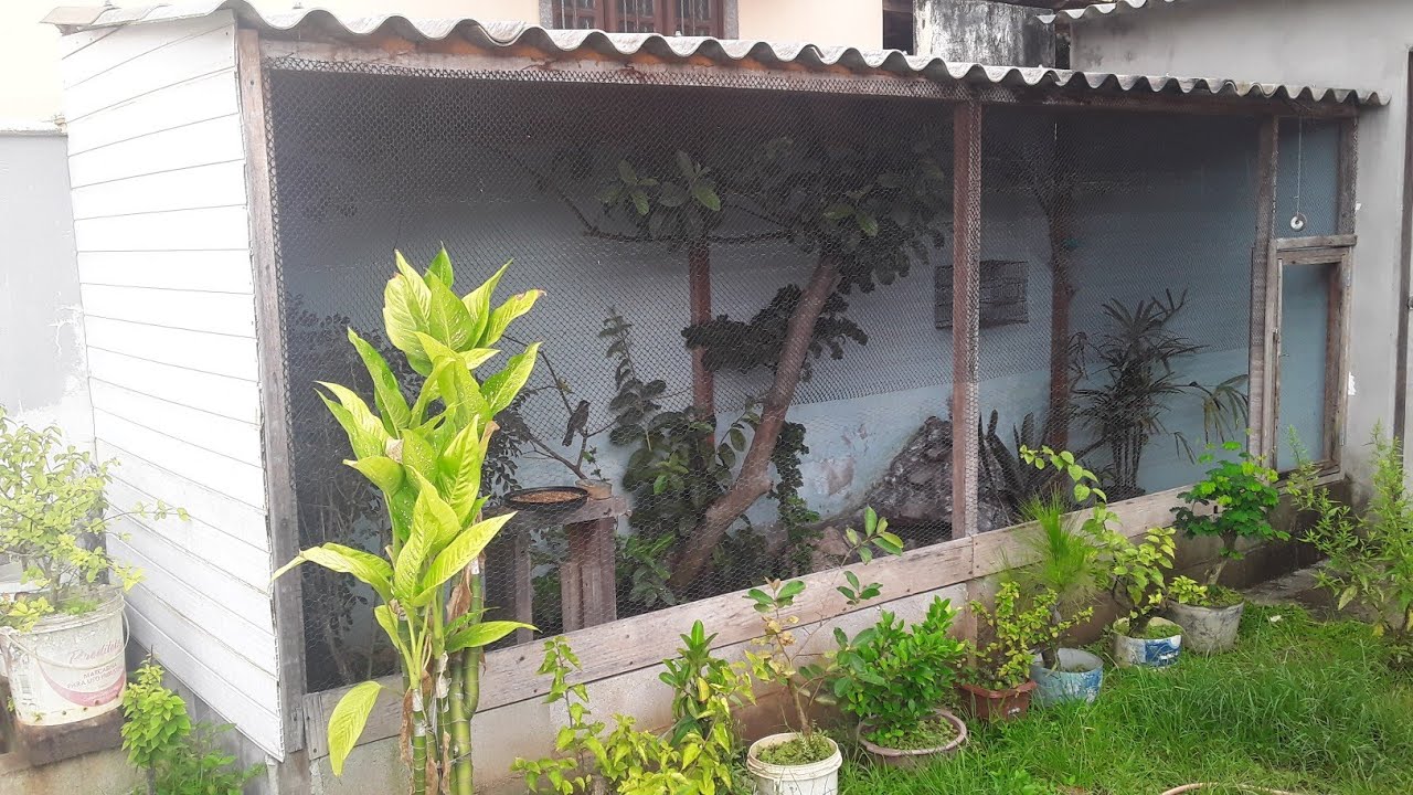 fiz a fonte do meu viveiro