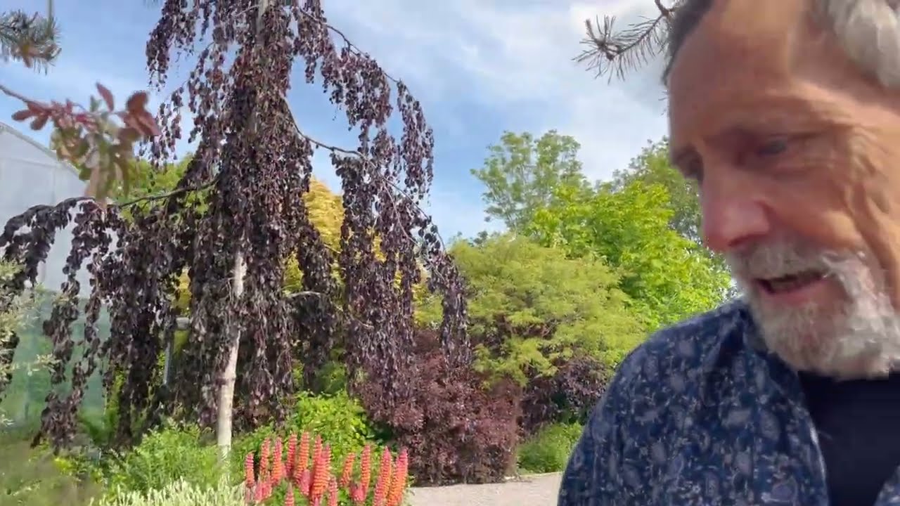 50 Plants Recommended by John